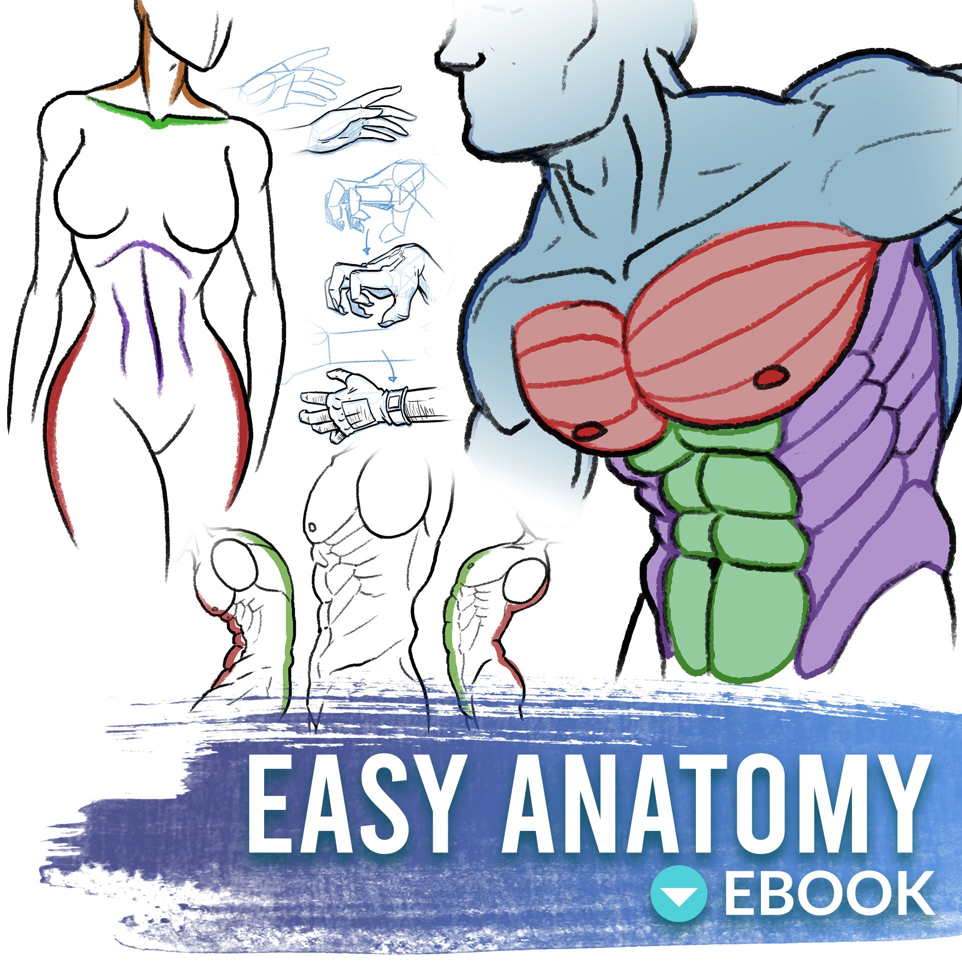 9 Best Anatomy Reference Books For Artists! - Don Corgi